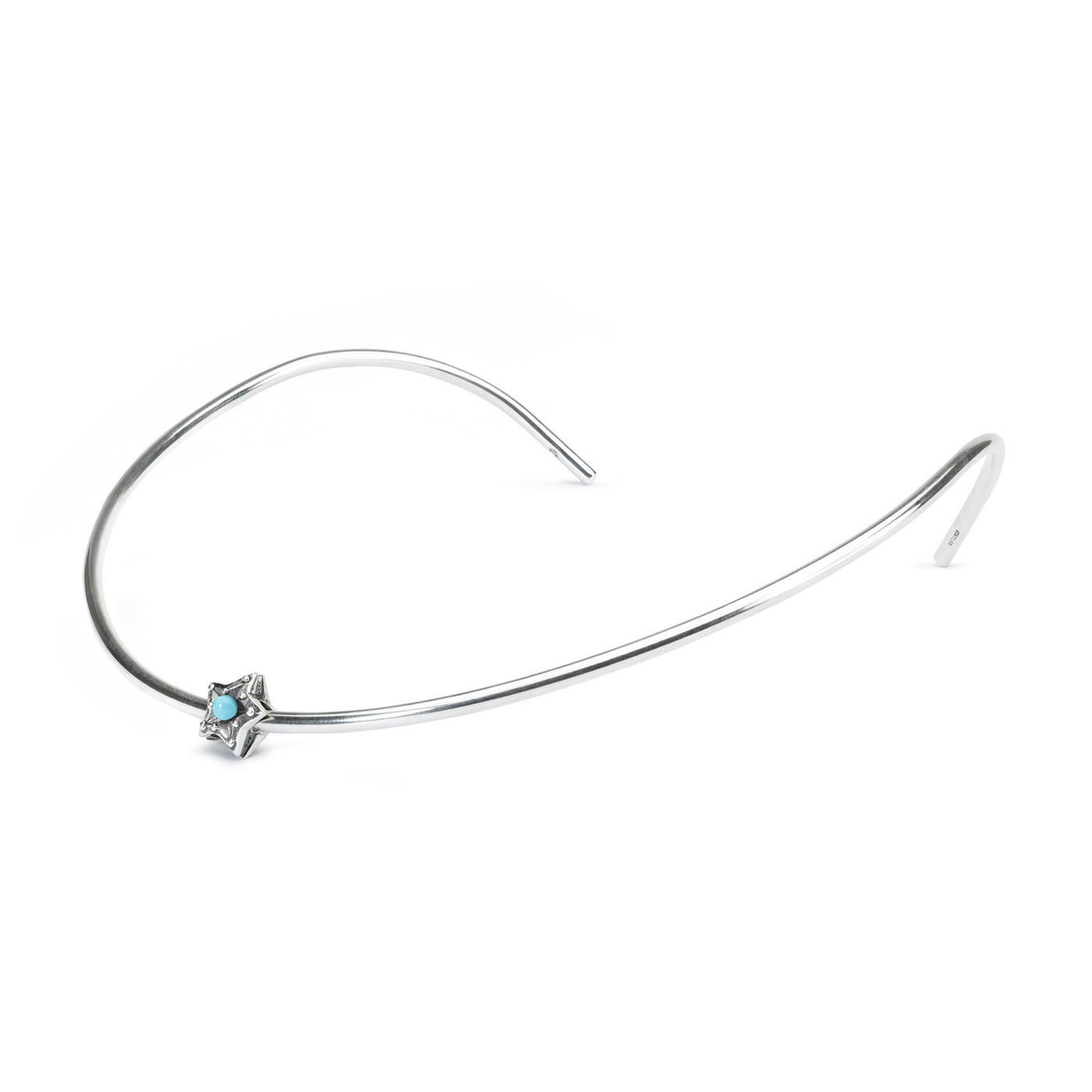 Apsaugos Žvaigždė