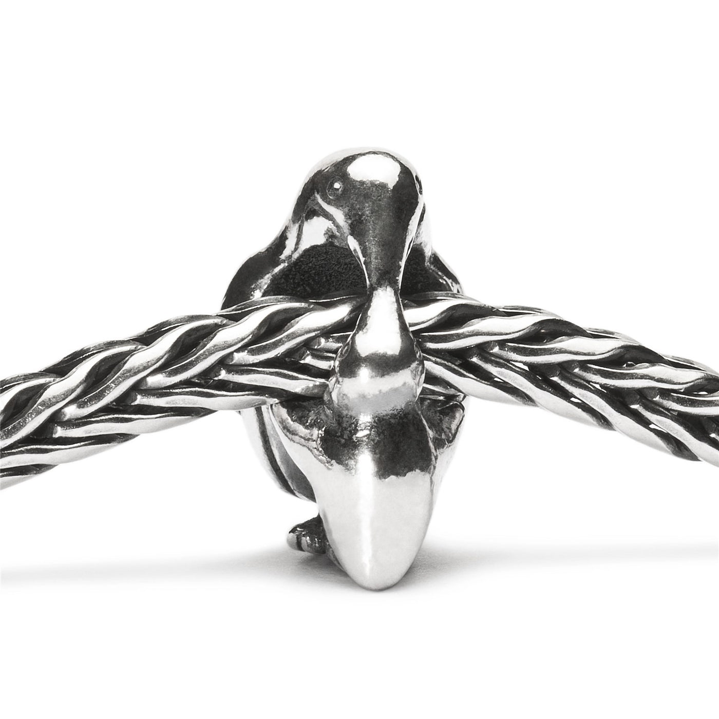 Pingvinas ir Mažylis