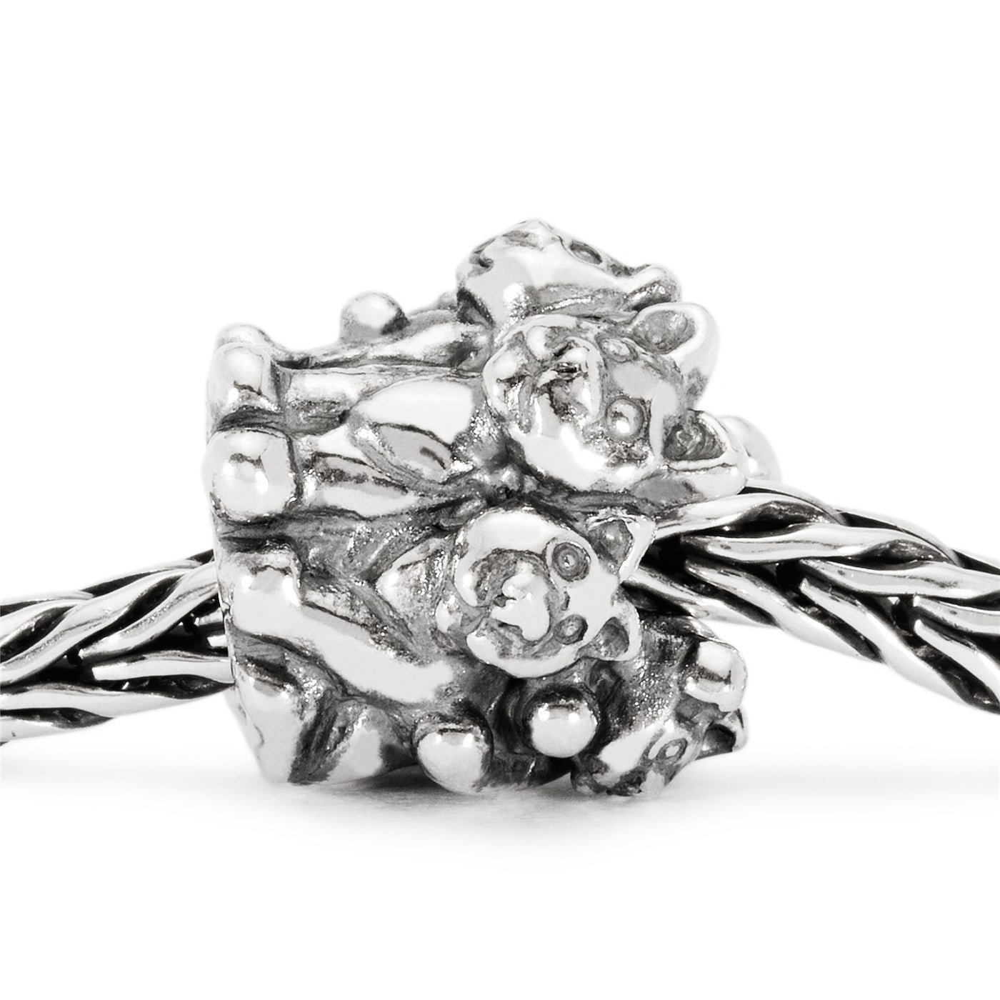 Kačiukų Šeimynėlė