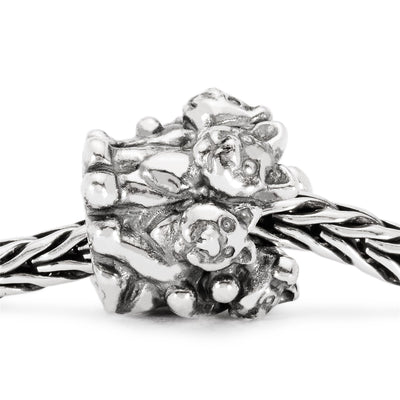 Kačiukų Šeimynėlė